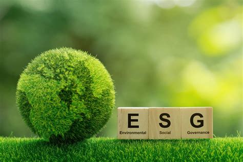 esg 보고서: 지속 가능한 미래를 위한 초석